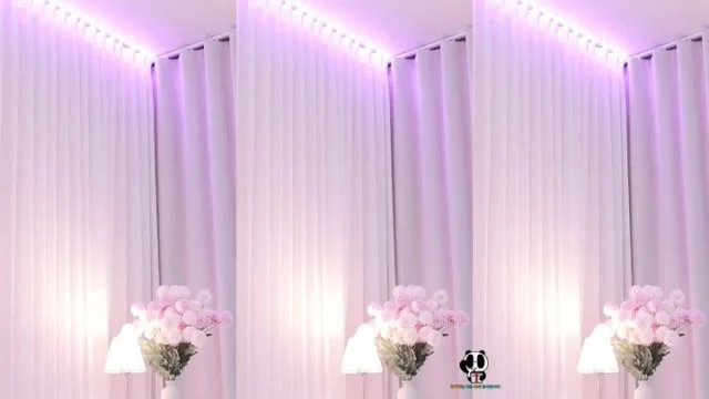 BJ루아-plmqwe6630-26051138