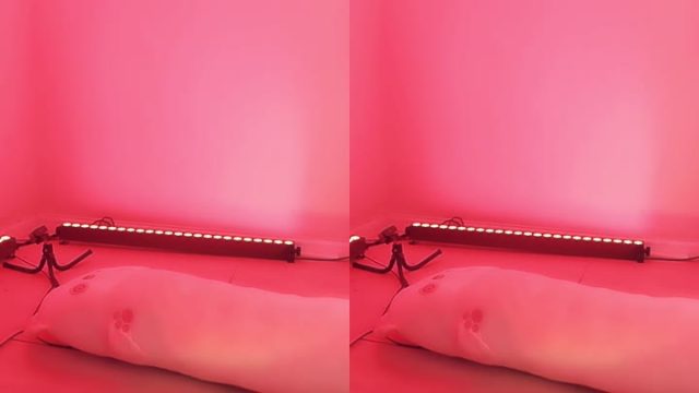 BJ느좋녀-yomimi1-26050746