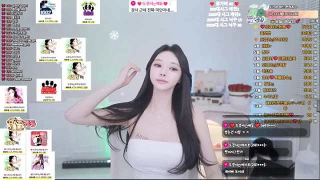 BJ도경서-dks2003-26032345