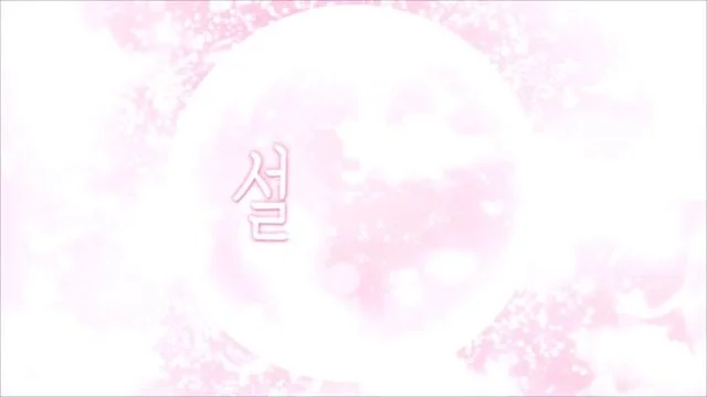 BJ설유-dlsrl990-26031048