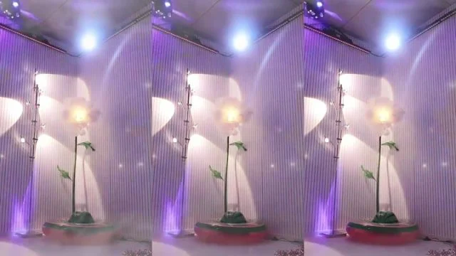BJ고이나-qkeksms3-26082832