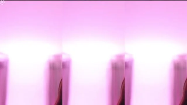 BJ시즈닝-bks1004-26083102