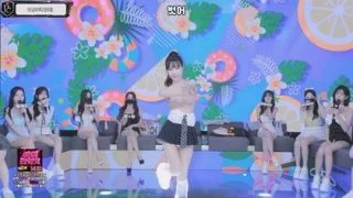 BJ팬더클래스-pandaclass-26091452