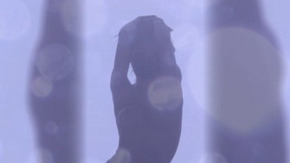 BJ팬더클래스-pandaclass-26090254